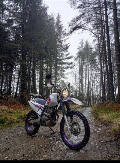 Yamaha TTR 250 Raid Yamaha TTR 250 Raid