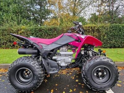 Honda TRX250X Sportrax ATV Quad Bike - 2022 - Excellent Condition Honda TRX250X Sportrax ATV Quad Bike - 2022 - Excellent Condition