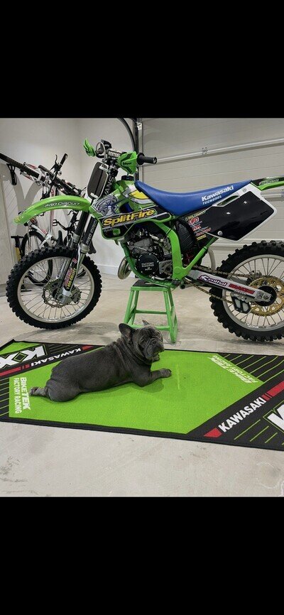 kawasaki kx125 1994