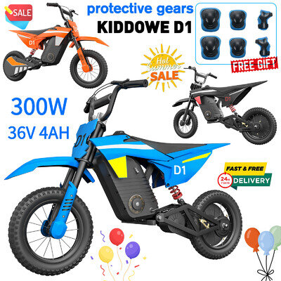 Kid E-Motorcycle KIDDOWE D1 Motocross Bike 25KM/H ebike 36V4Ah +Protection Gears