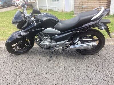 Suzuki Inazuma GW 250 - Extremely Low Mileage - Fabulous Condition Suzuki Inazuma GW 250 - Extremely Low Mileage - Fabulous Condition
