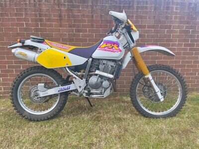 Suzuki DR250 Suzuki DR250