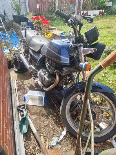 Honda Cb450dx barn find